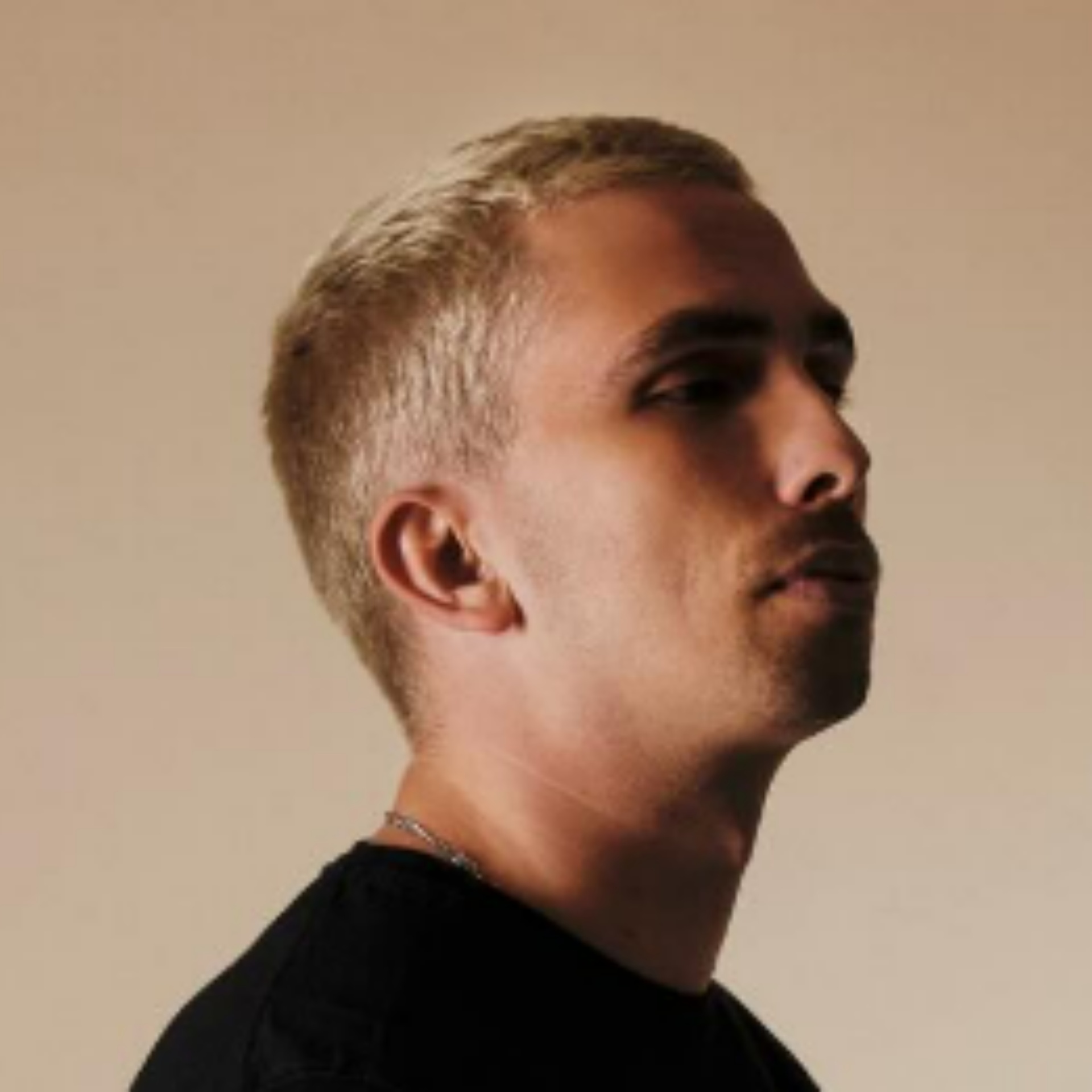 DOMINK MUÈLAR profile