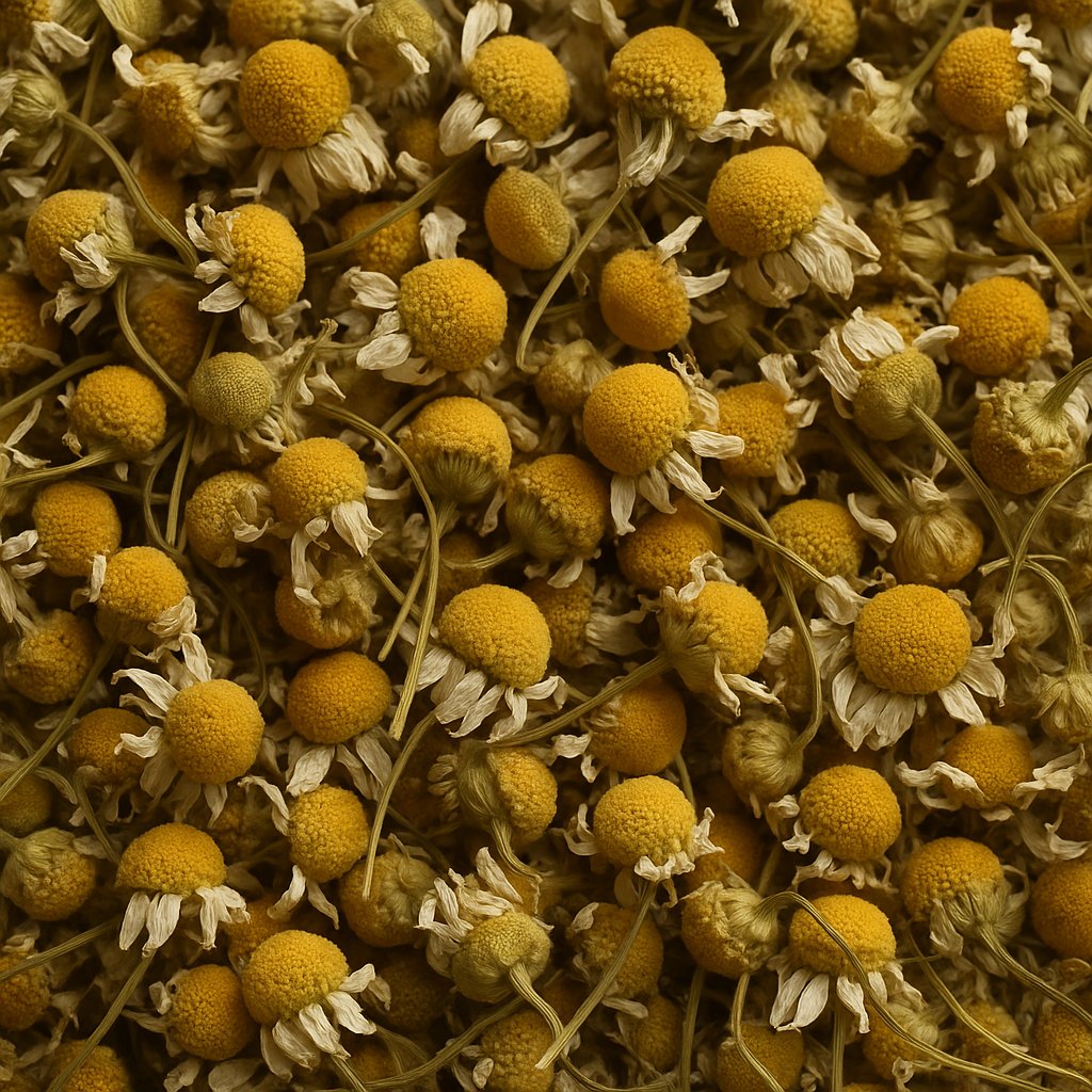 Photo de l'ingredient Fleurs de camomille