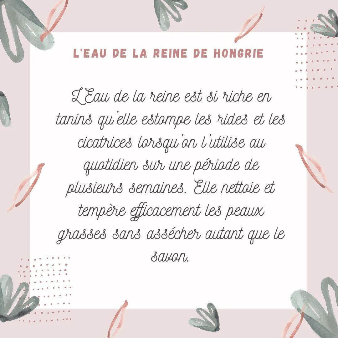 Deuxième image de la recette Lotion anti ride aux petales de lys