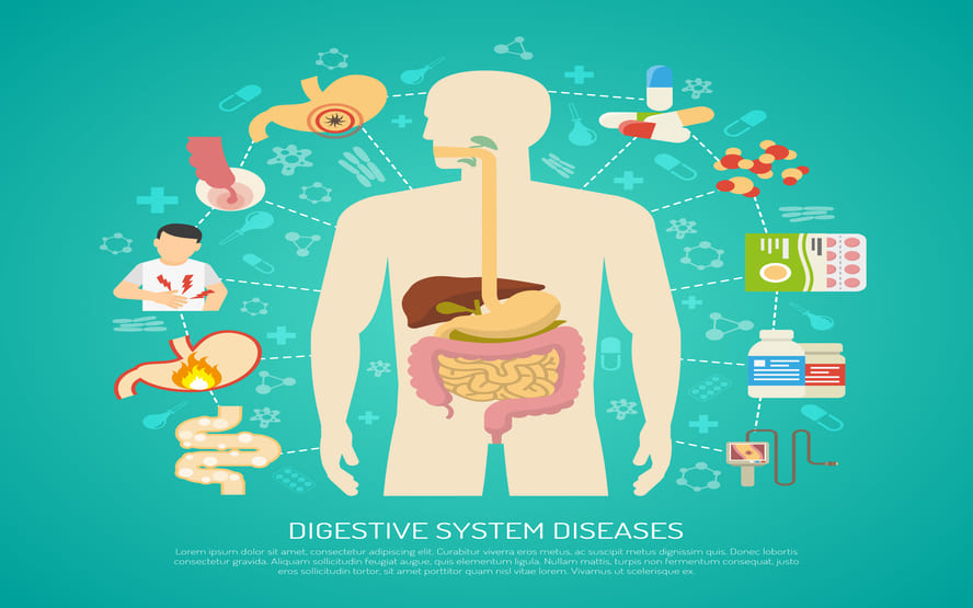 9 doenças digestivas comuns e tratamentos mais eficazes