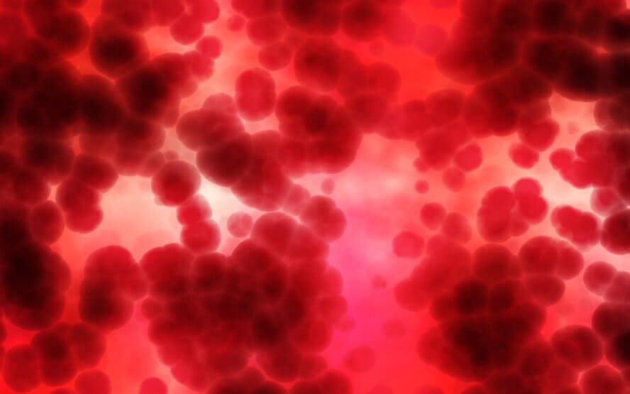 O que saber sobre hematologia