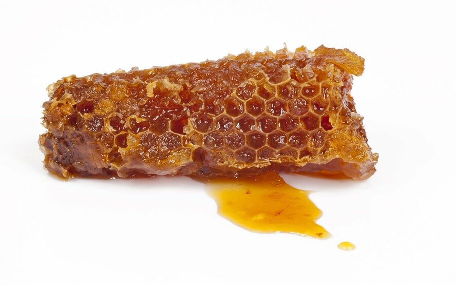 Tudo sobre o mel - Como as abelhas produzem mel?