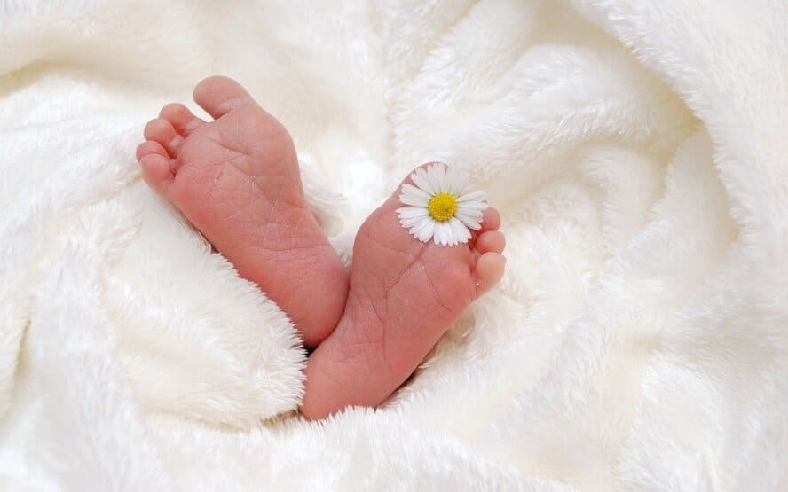 Gravidez: nascimentos múltiplos, gêmeos, trigêmeos e muito mais