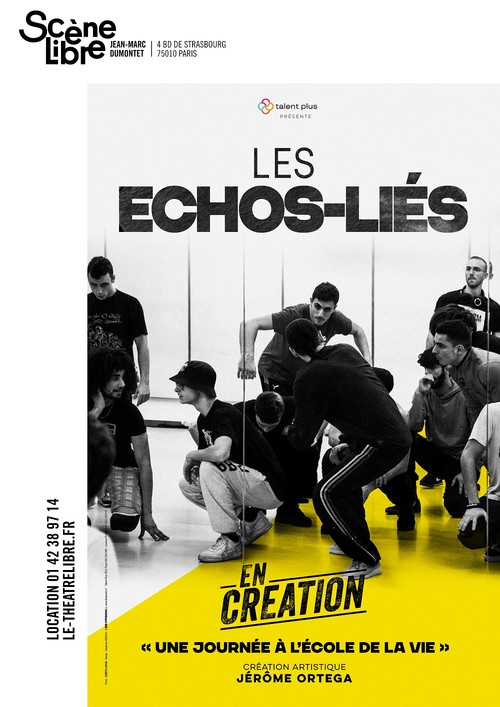 Les Echos-liés en création