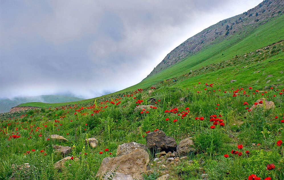 ۵ جاذبه دیدنی در سفر به جاده هراز