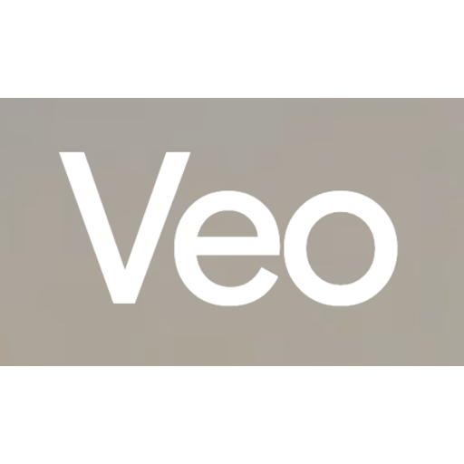 Google Veo