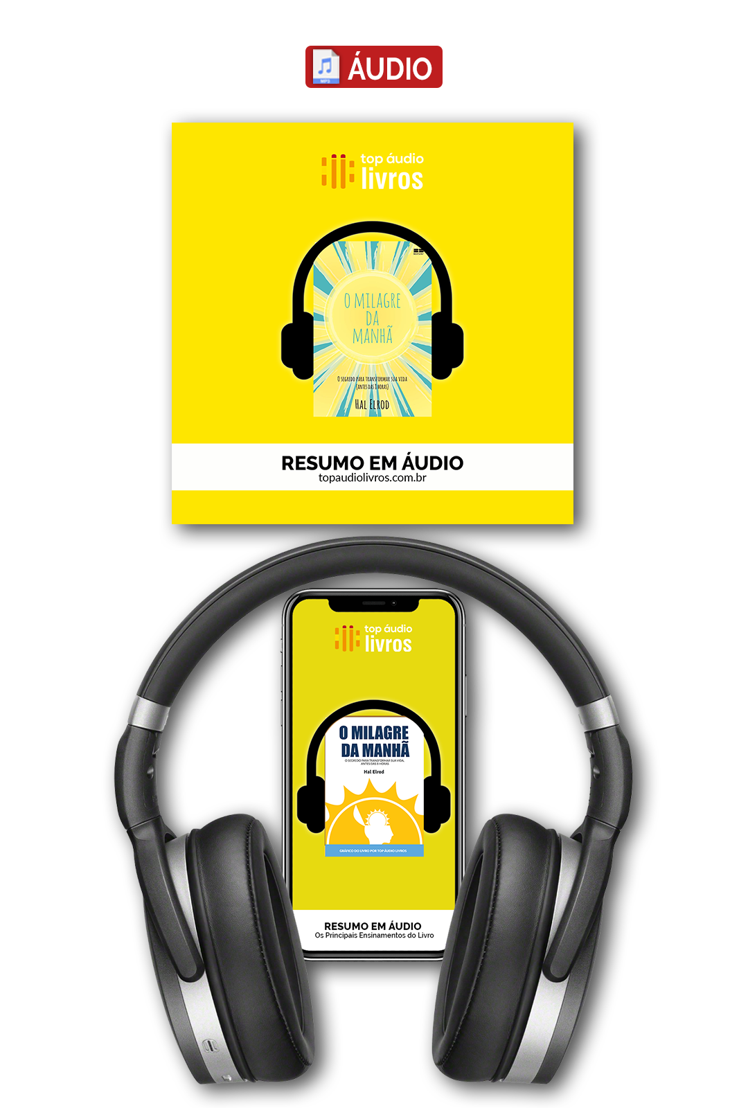 Resumo em Áudio