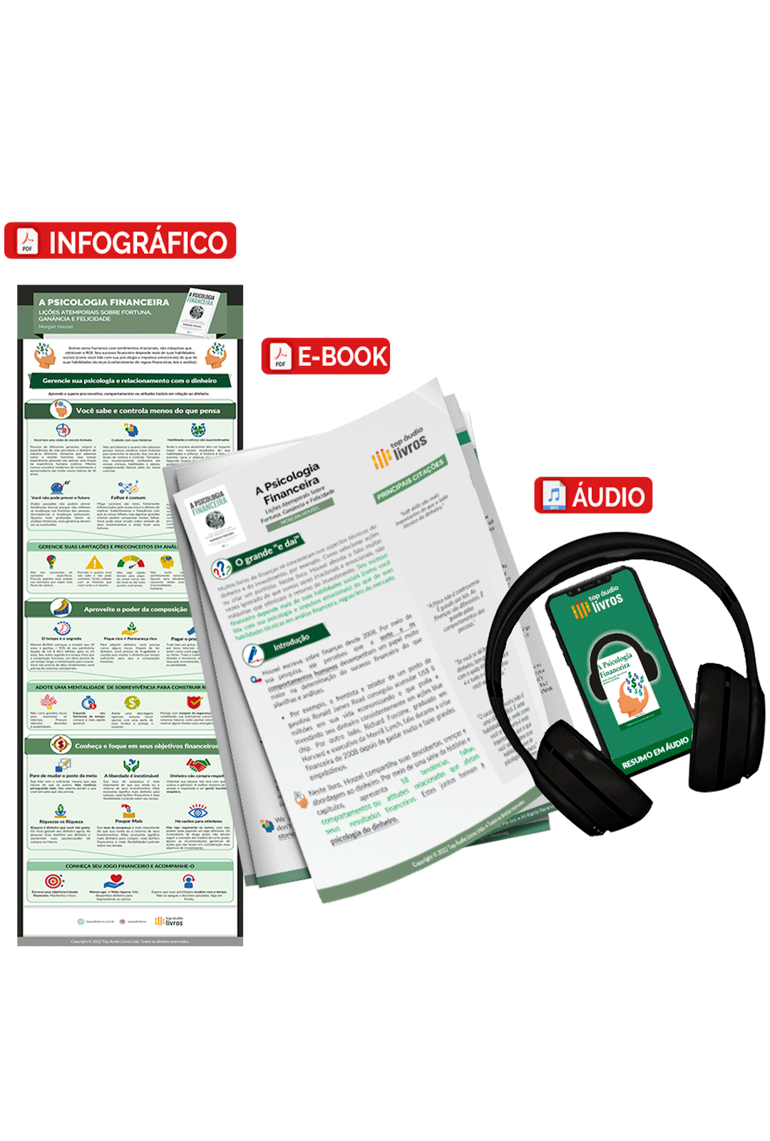 Pacote Visual Completo A Psicologia Financeira