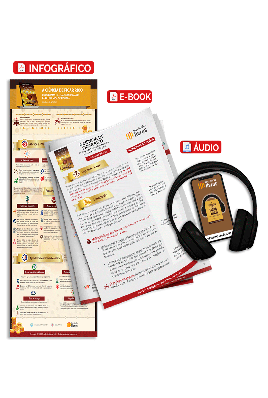 Pacote Completo A Ciência de Ficar Rico