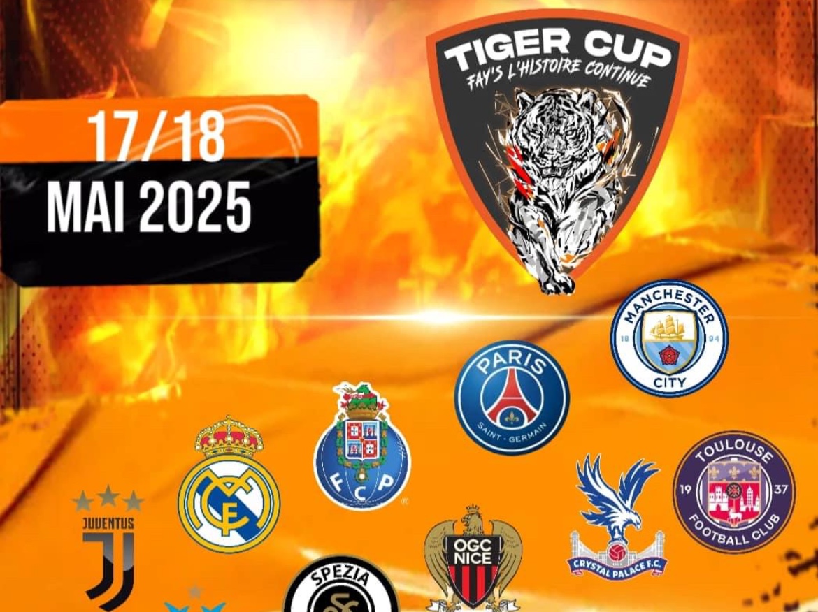 Tiger Cup