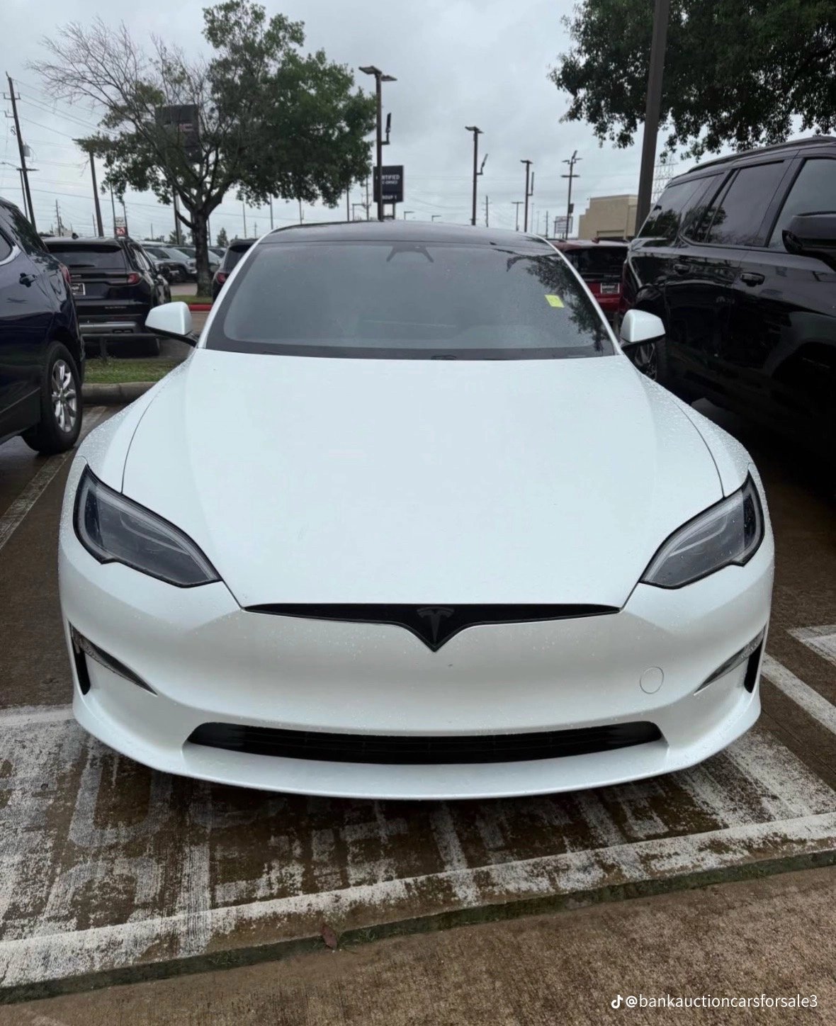 2023 TESLA Model S