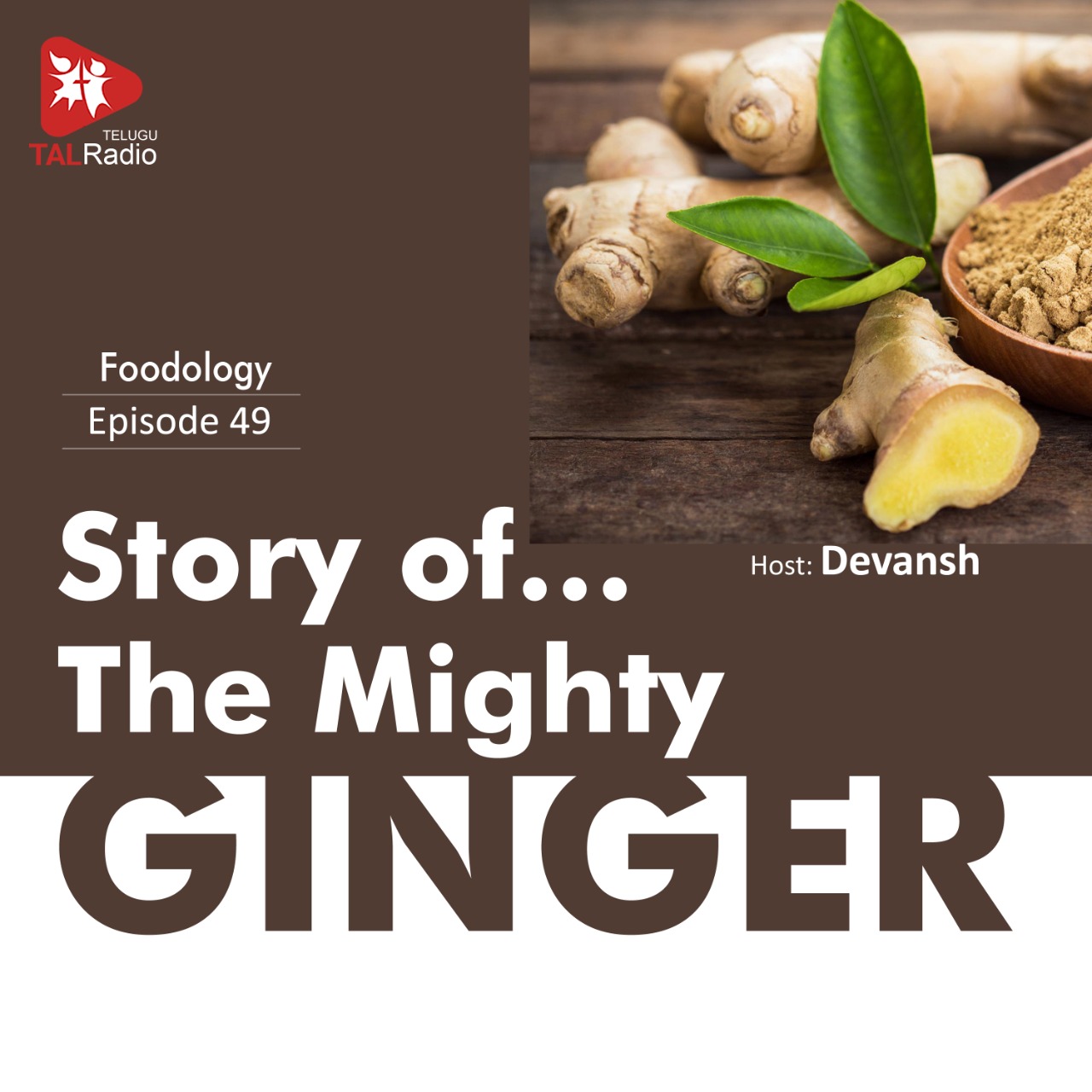 Story of the Mighty Ginger | Foodology 49