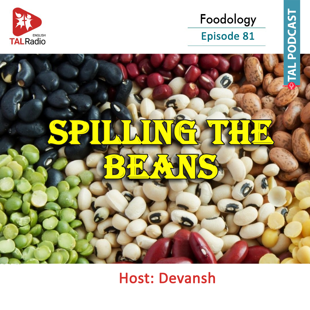 Spilling the Beans | Foodology