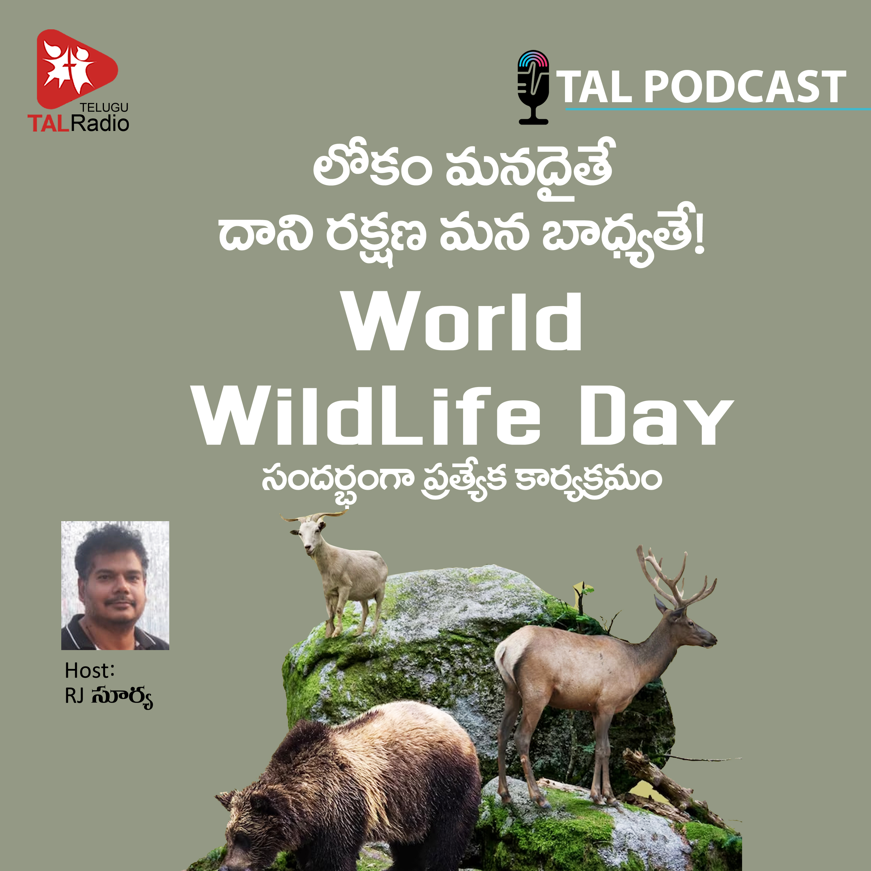 Life Isn’t Valid Without Wild LIFE | Kathalu Kaburlu