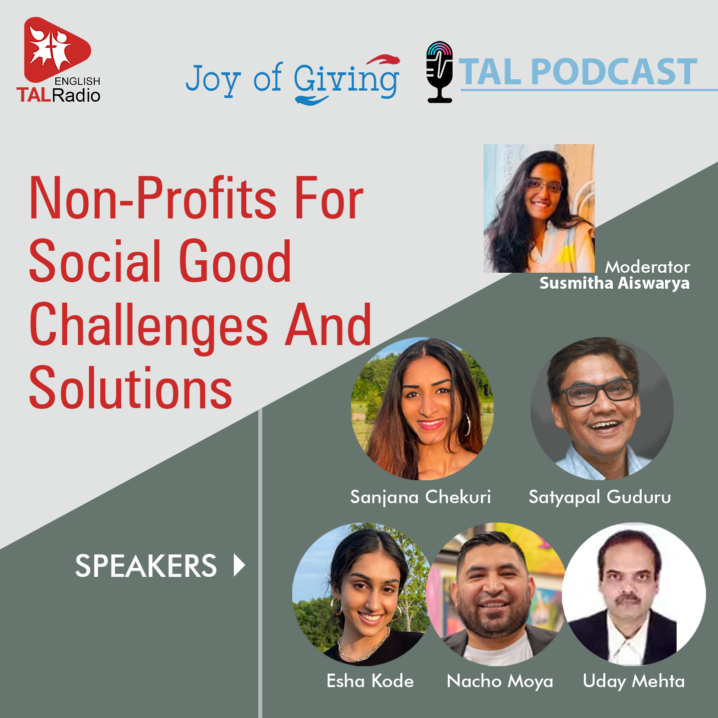 Non-Profits For Social Good: Challenges And Solutions