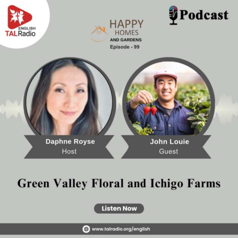 Green Valley Floral and Ichigo Farms | Happy Homes And Gardens - 99