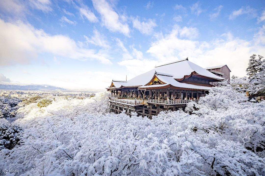 7D WINTER SCHOOL HOLIDAY JAPAN + SHIRAKAWAGO WITH DISNEYLAND - 3