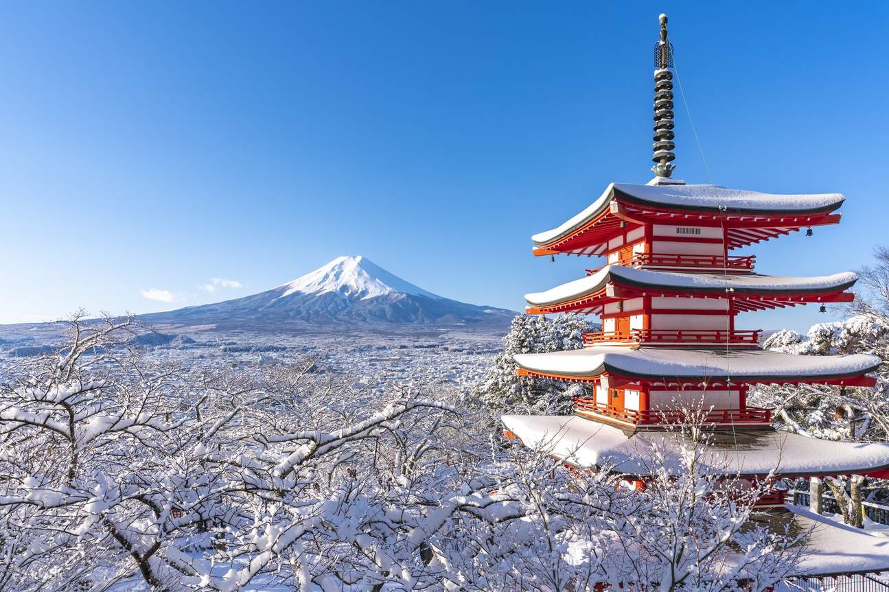 7D WINTER SCHOOL HOLIDAY JAPAN + SHIRAKAWAGO WITH DISNEYLAND - 5