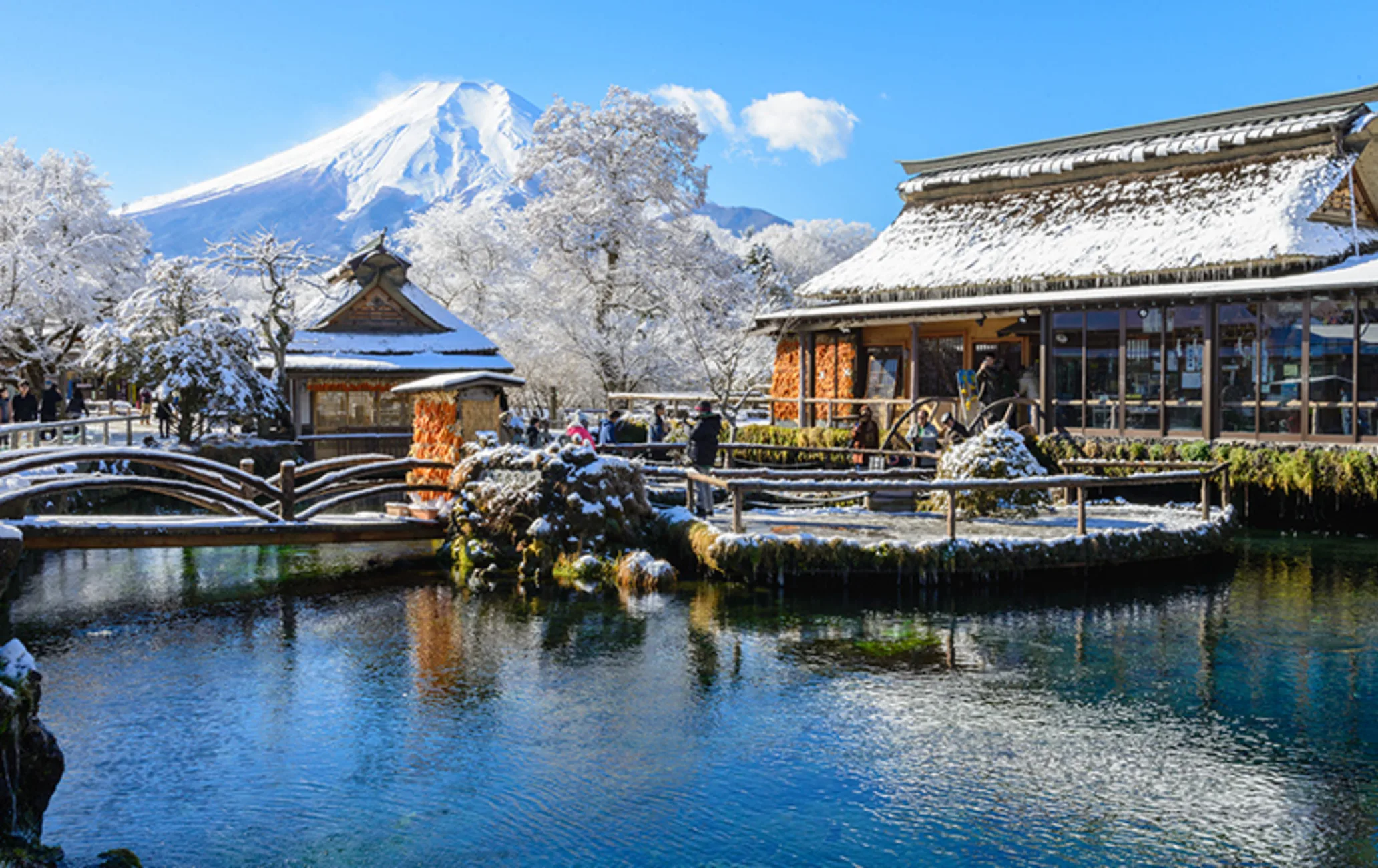 7D WINTER SCHOOL HOLIDAY JAPAN + SHIRAKAWAGO WITH DISNEYLAND - 6