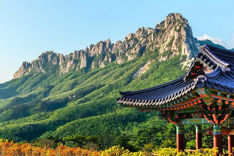 6D BEAUTIFUL KOREA - 6