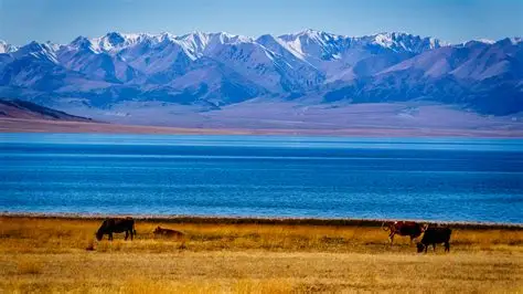 9D ENCHANTING NORTH XINJIANG & TURPAN - 5