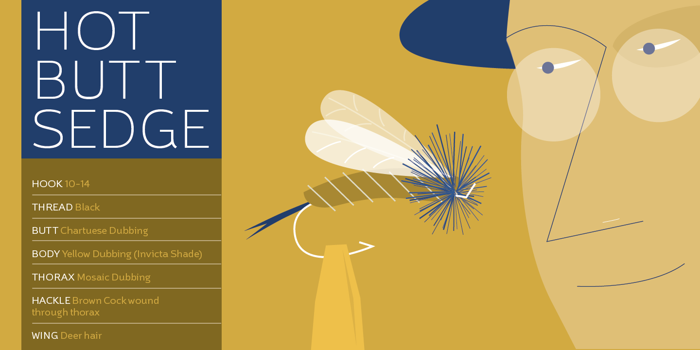 Brisko Sans — gallery image 4