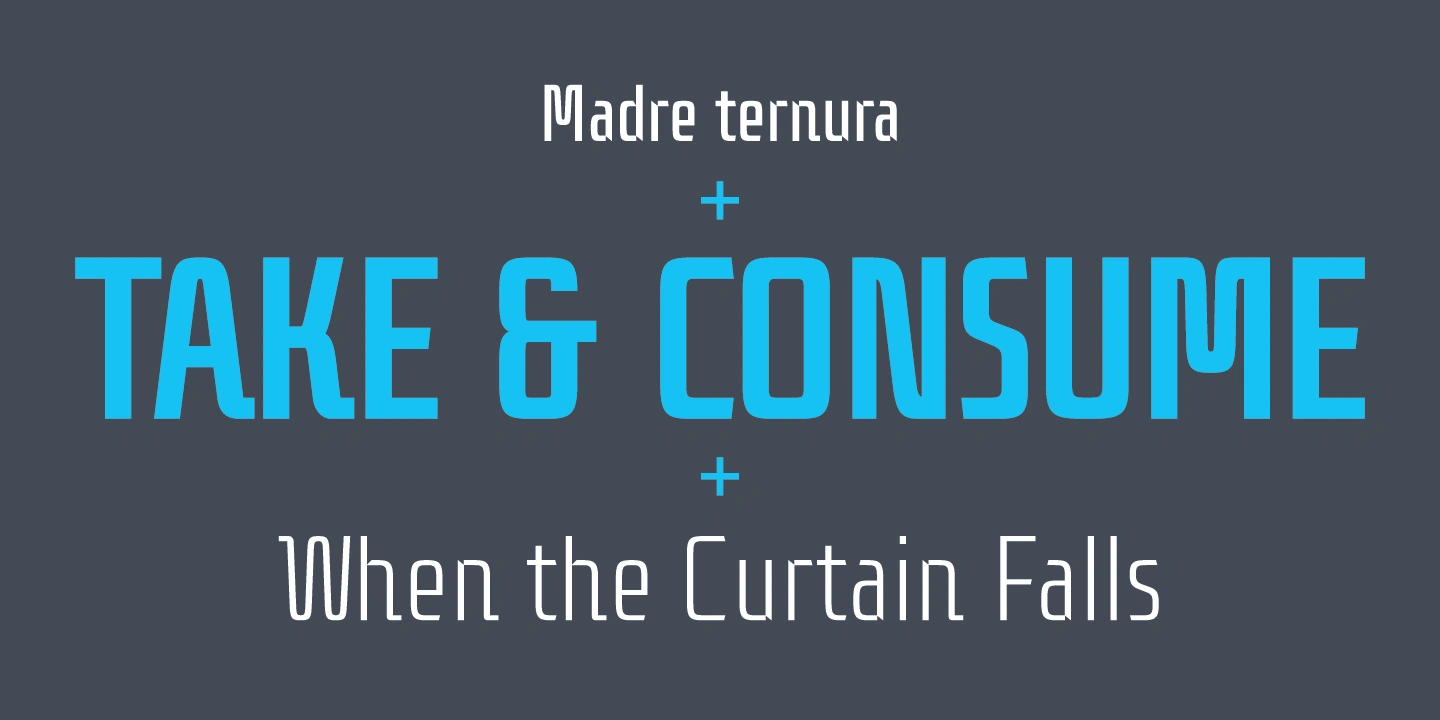 Dietal Sans — gallery image 2