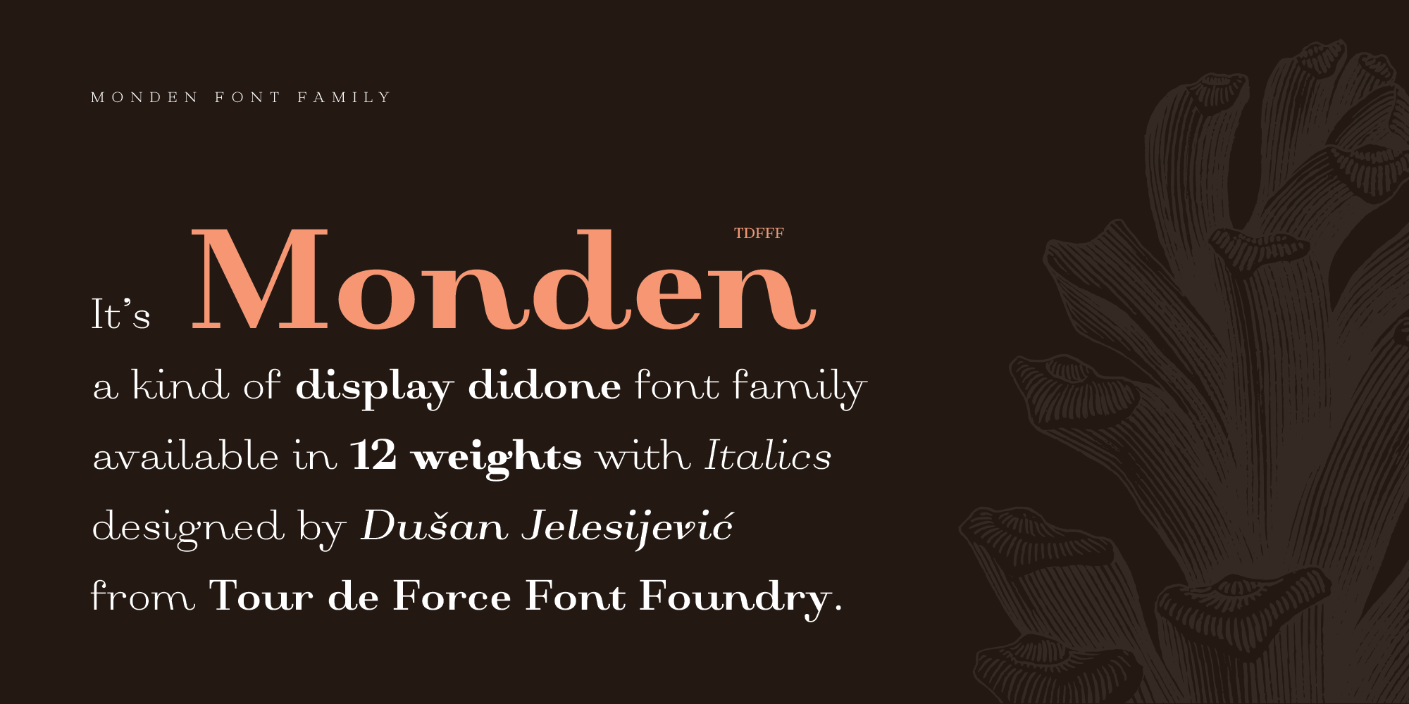 Monden — gallery image 1