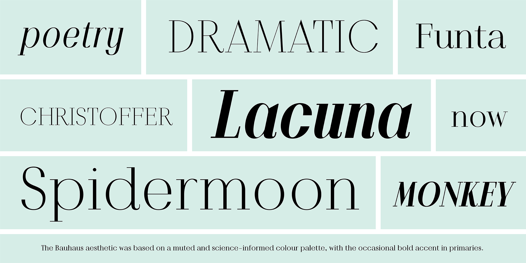 Povetarac Didone — gallery image 3