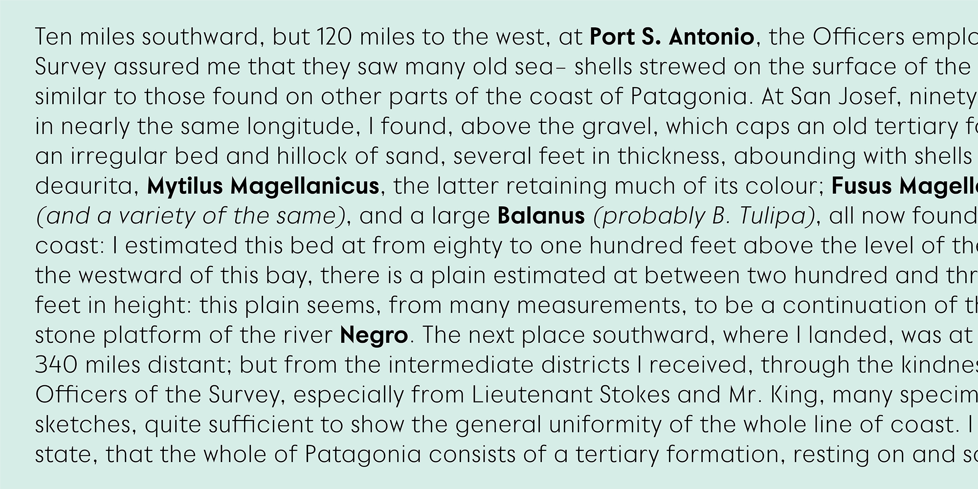 Povetarac Sans — gallery image 8