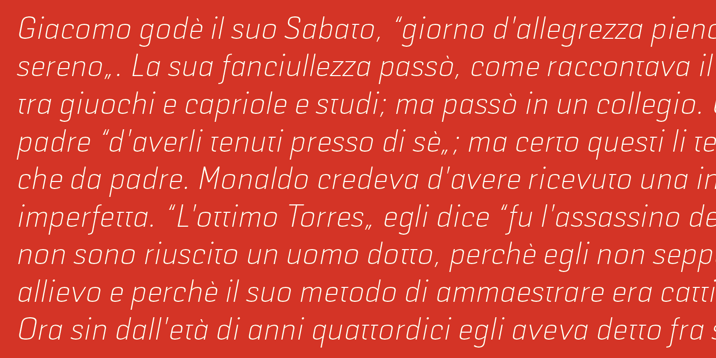 Selektor — gallery image 7