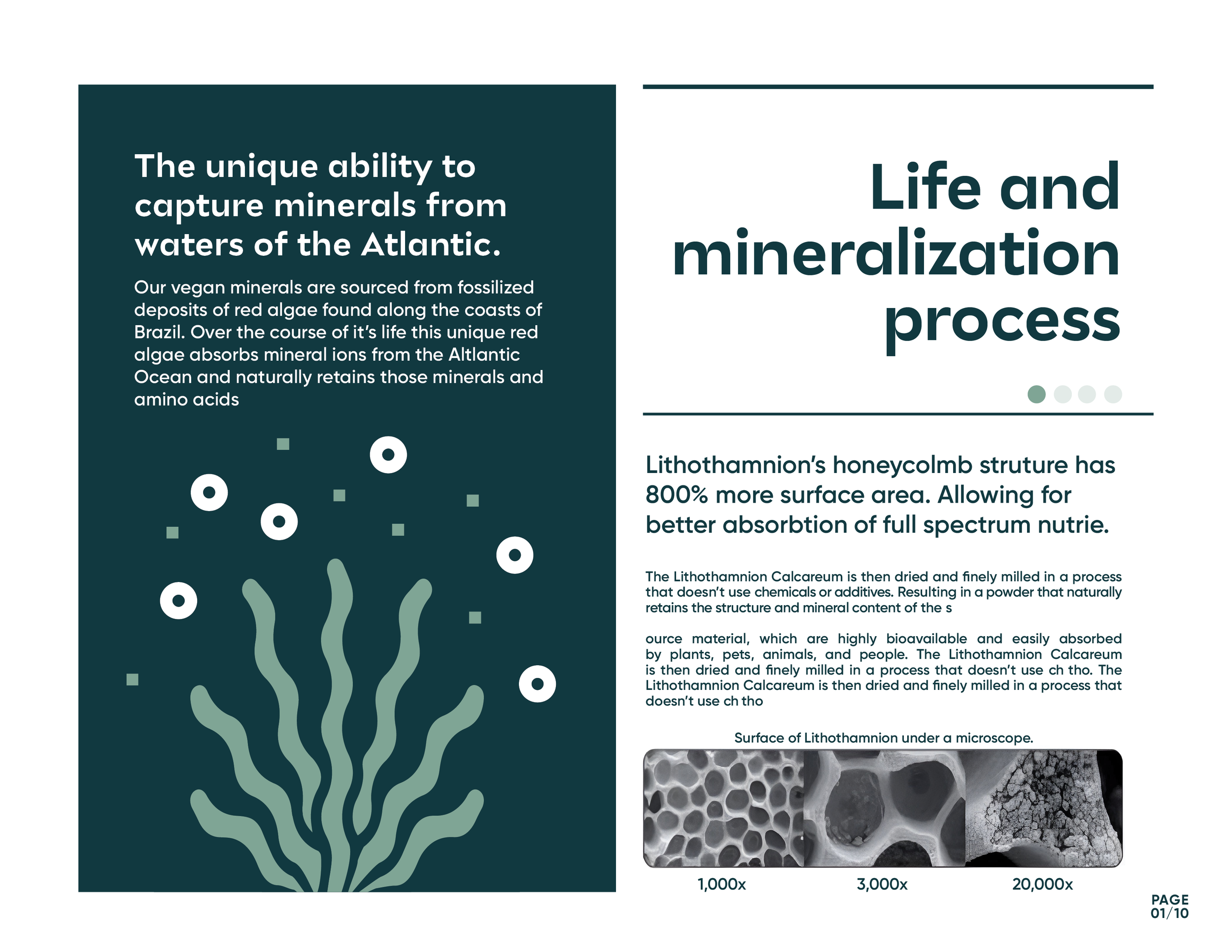 Vegan Minerals