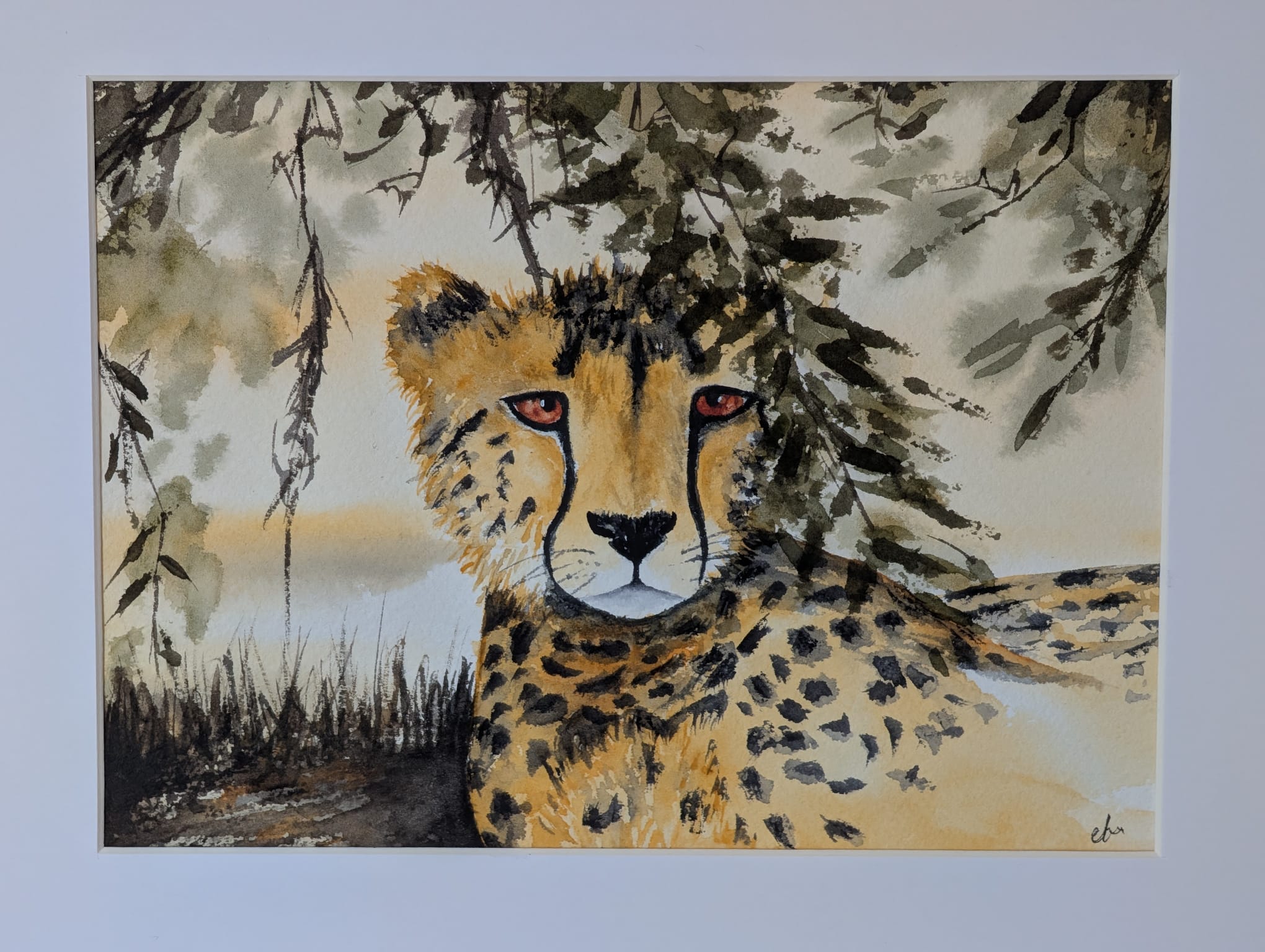 Cheetah