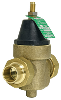 Pressure reducing valve 1c x c w/double union, plastic top Watts (LFN45BM1-DU-S)