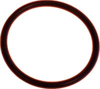 Sloan O ring (H-553)