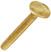 Closet bolt brass 5/16 x 3 1/2