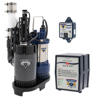 Combination pump w/backup