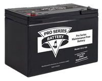Sump pump battery maintenance free (no acid needed) for all Pro Series backup and combination systems (B12-100)