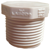 PVC sch 40 plug, threaded, 3/4