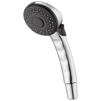 Delta handshower Chrome