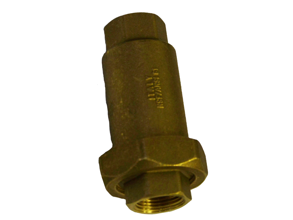 Check valve dual 3/4