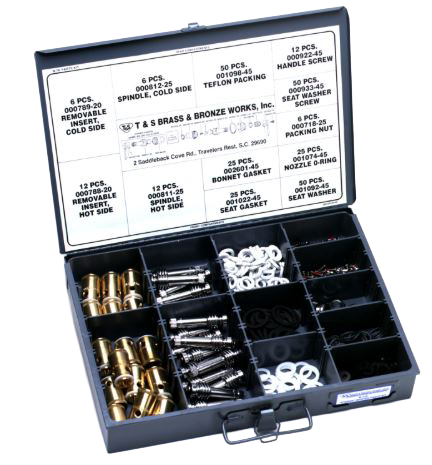 T&S Eterna spring check master parts kit