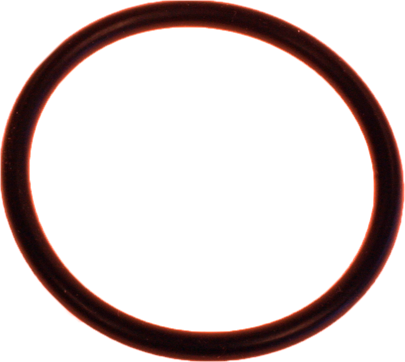 Sloan O ring (H-553)
