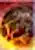 Meteorite Mu Online