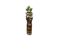 Sylvara