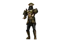 Chief Skeleton Archer