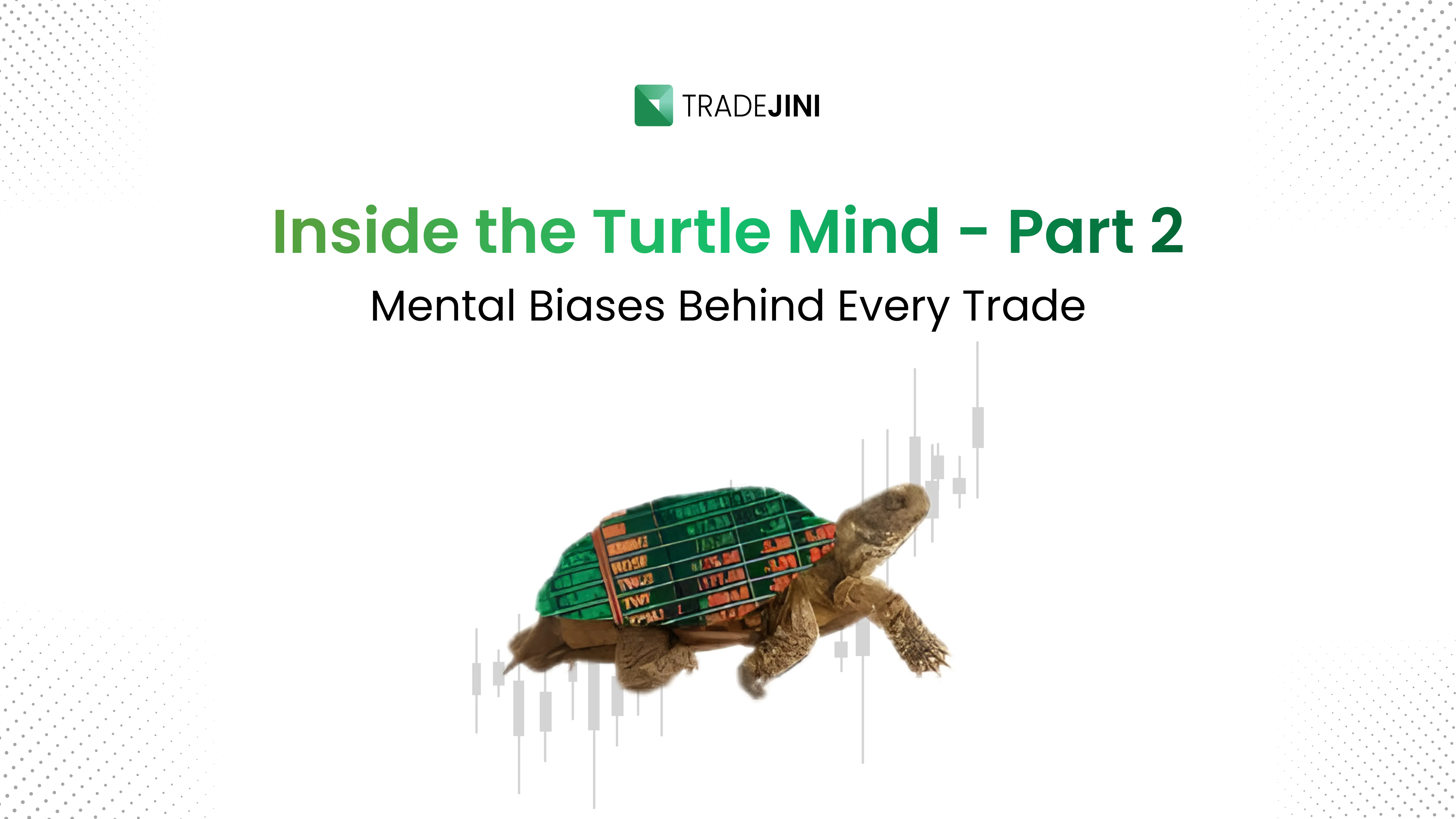 Inside the Turtle Mind: Part 2