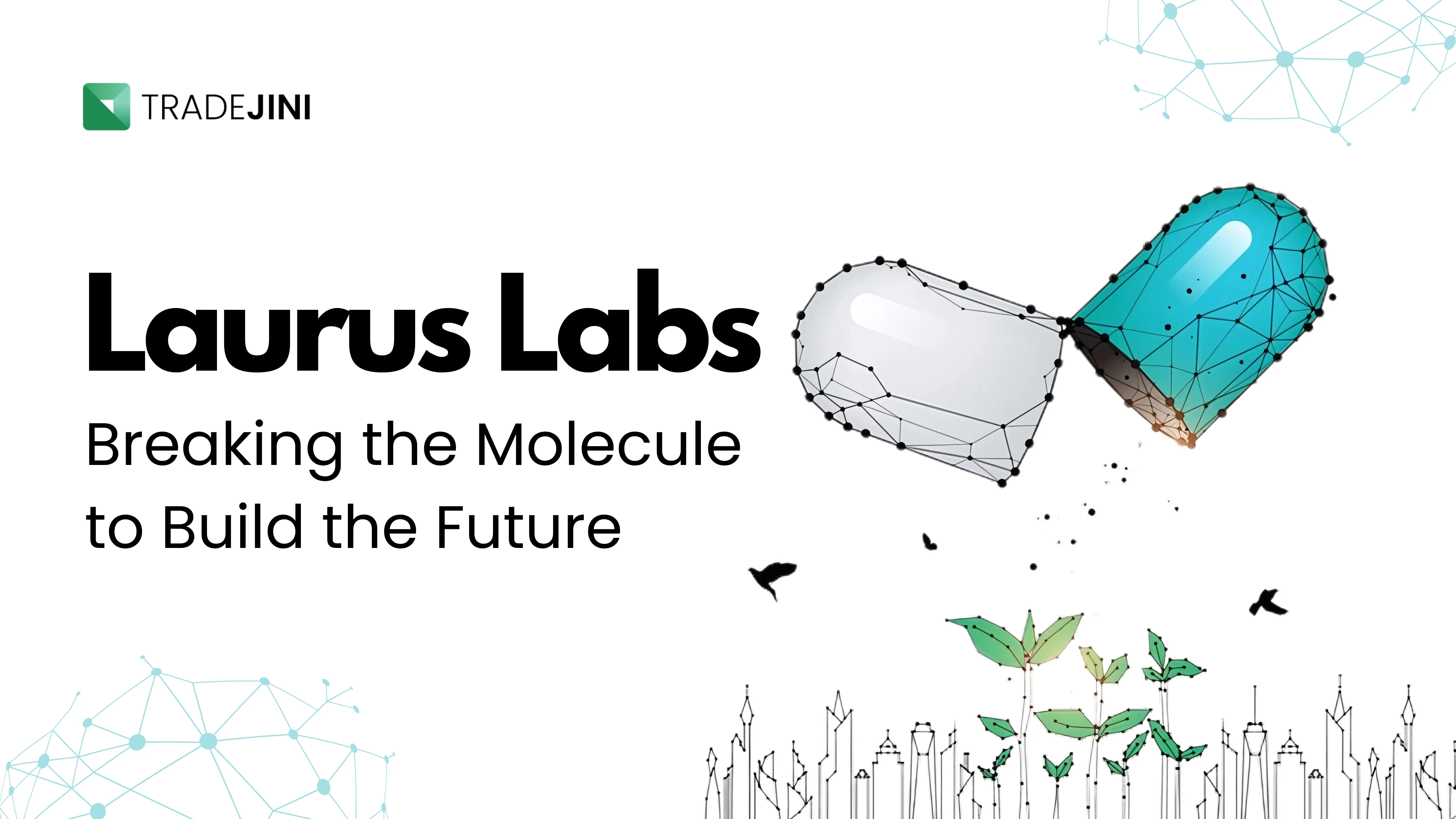 Laurus Labs  Breaking the Molecule to Build the Future