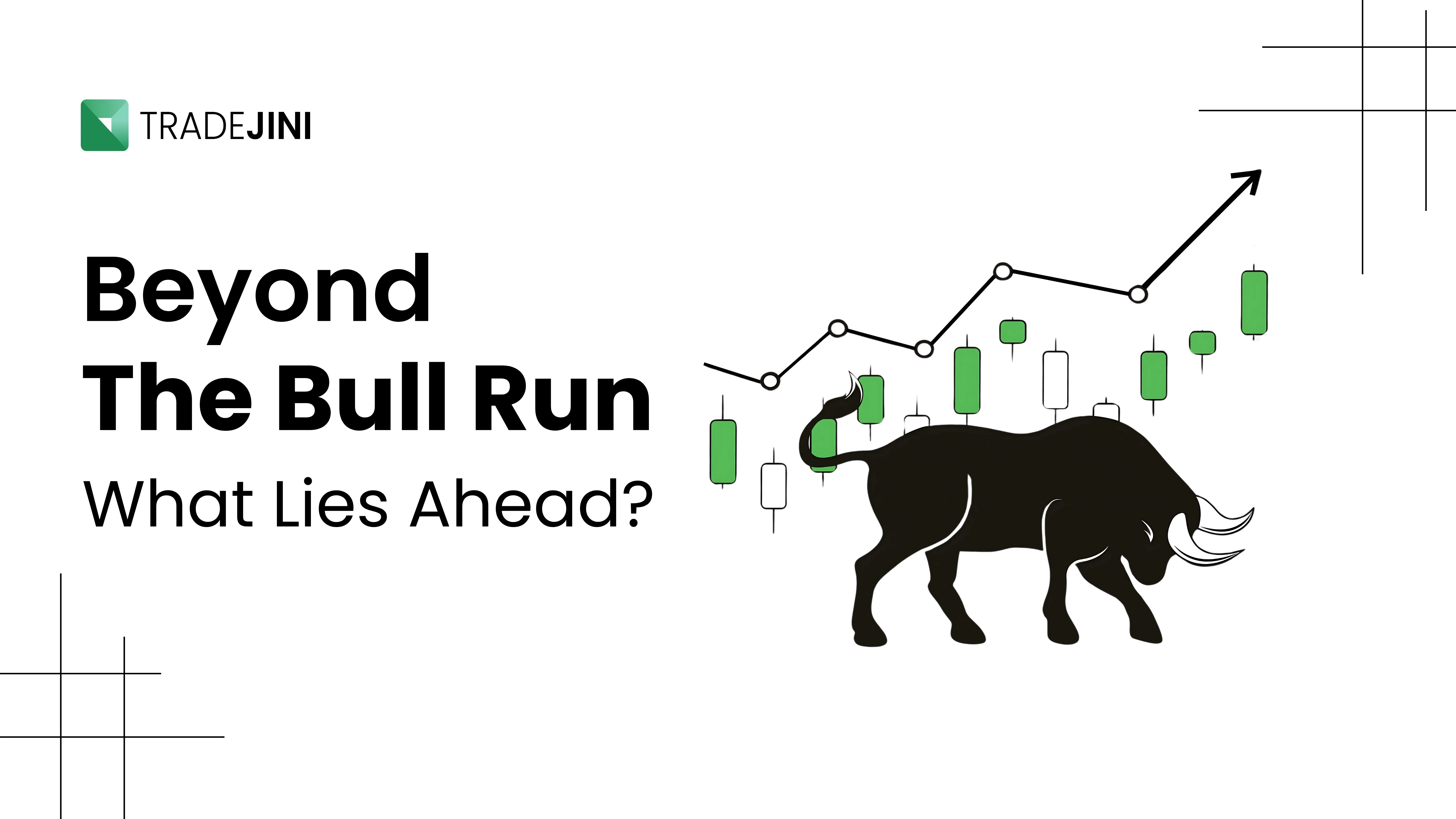Beyond The Bull Run What Lies Ahead?