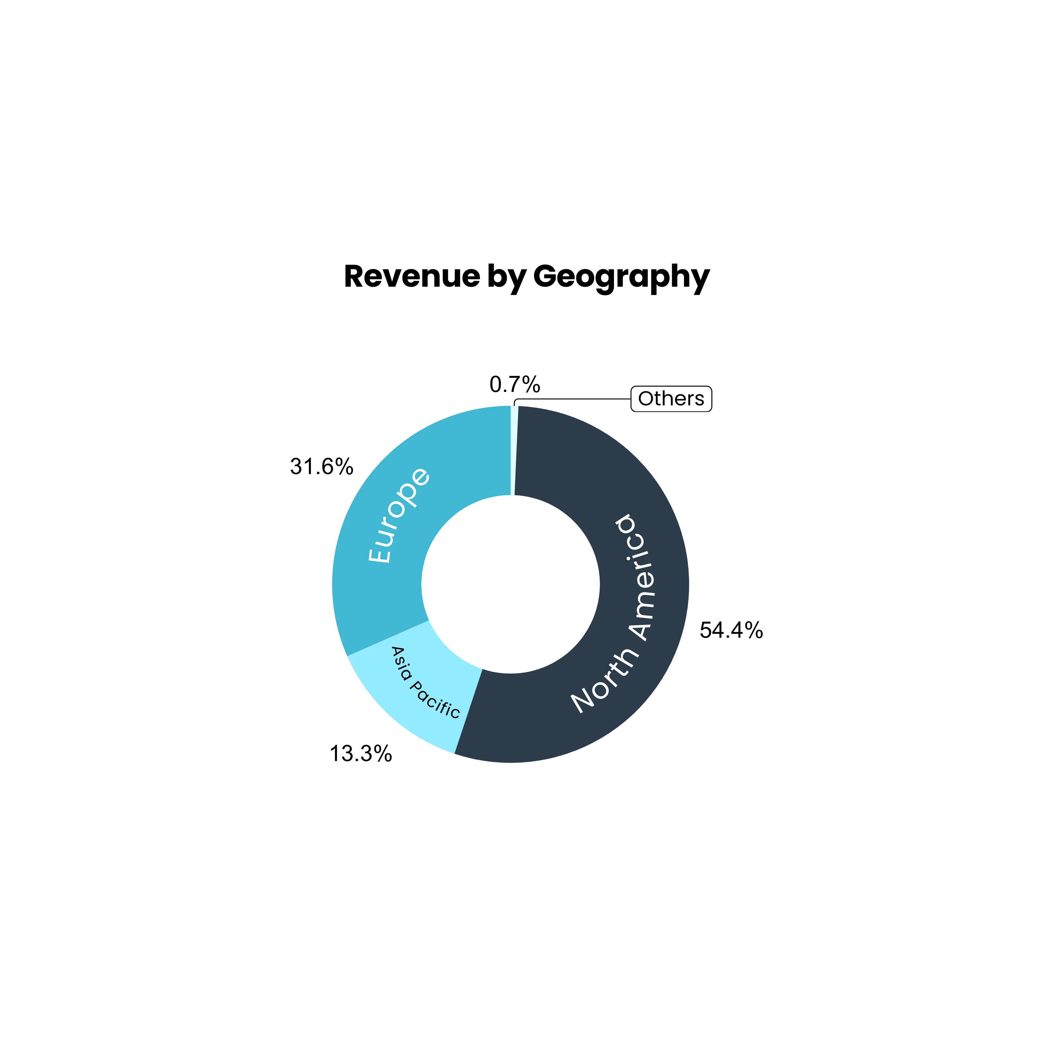 Revenue by geography